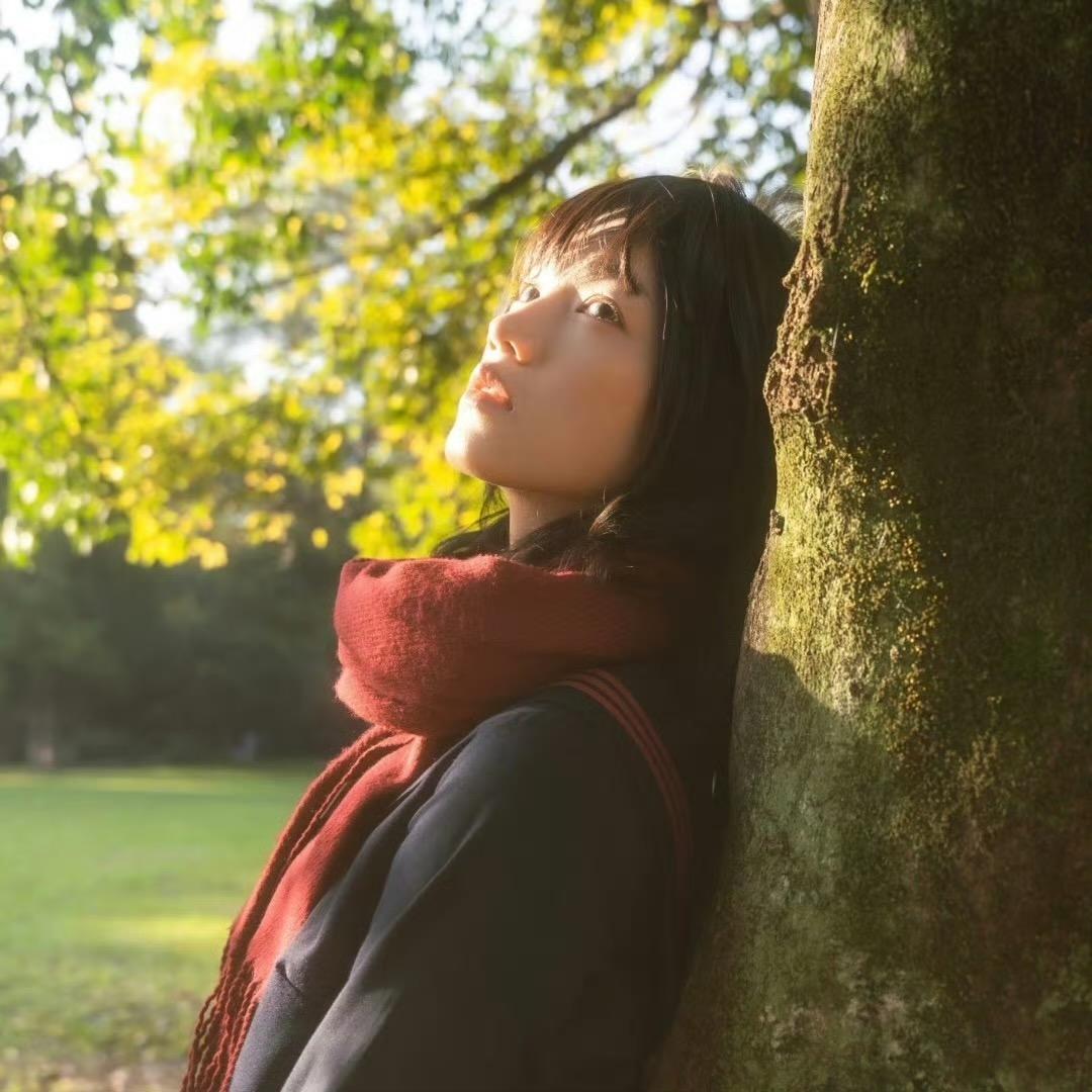 锦鲤小羽