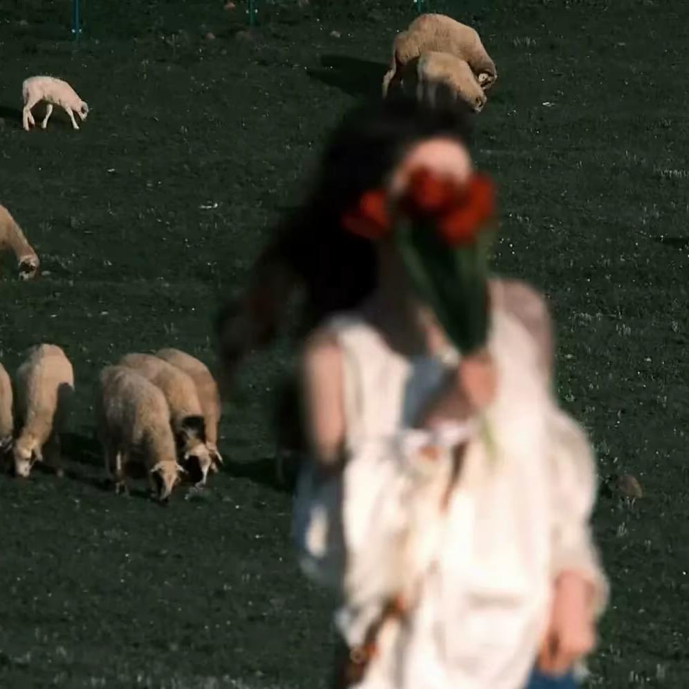 ℳ̶̶̶̶♡̶҉释怀ℳᥫᩣ