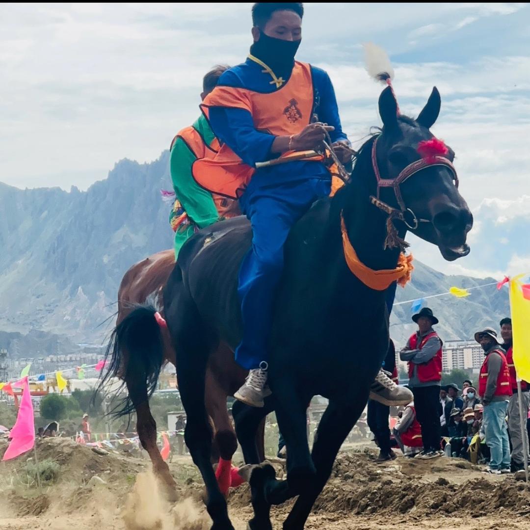 🏔️པད་མ།