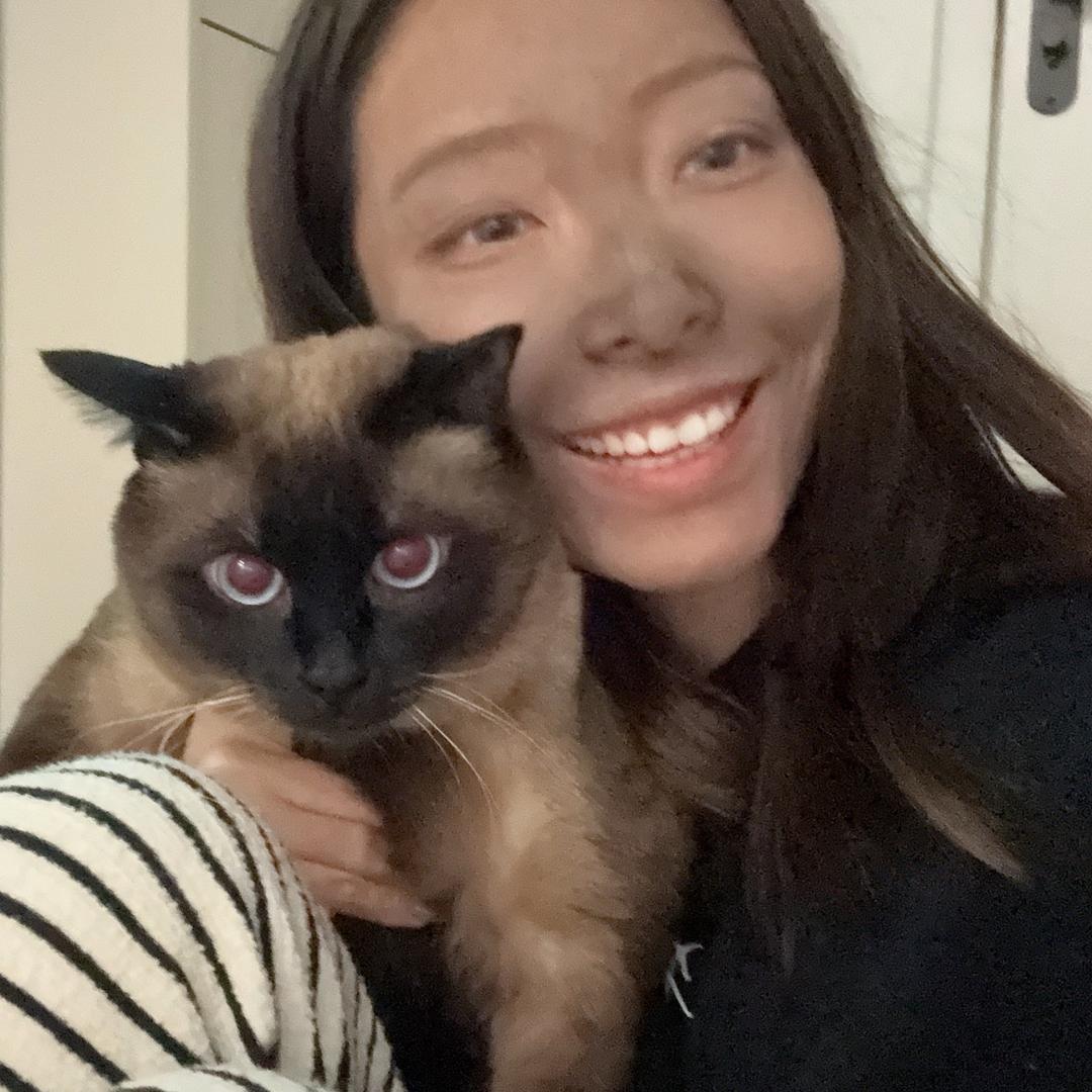 翅膀的李