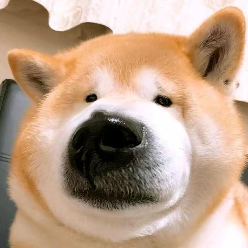 喝奶茶叫我