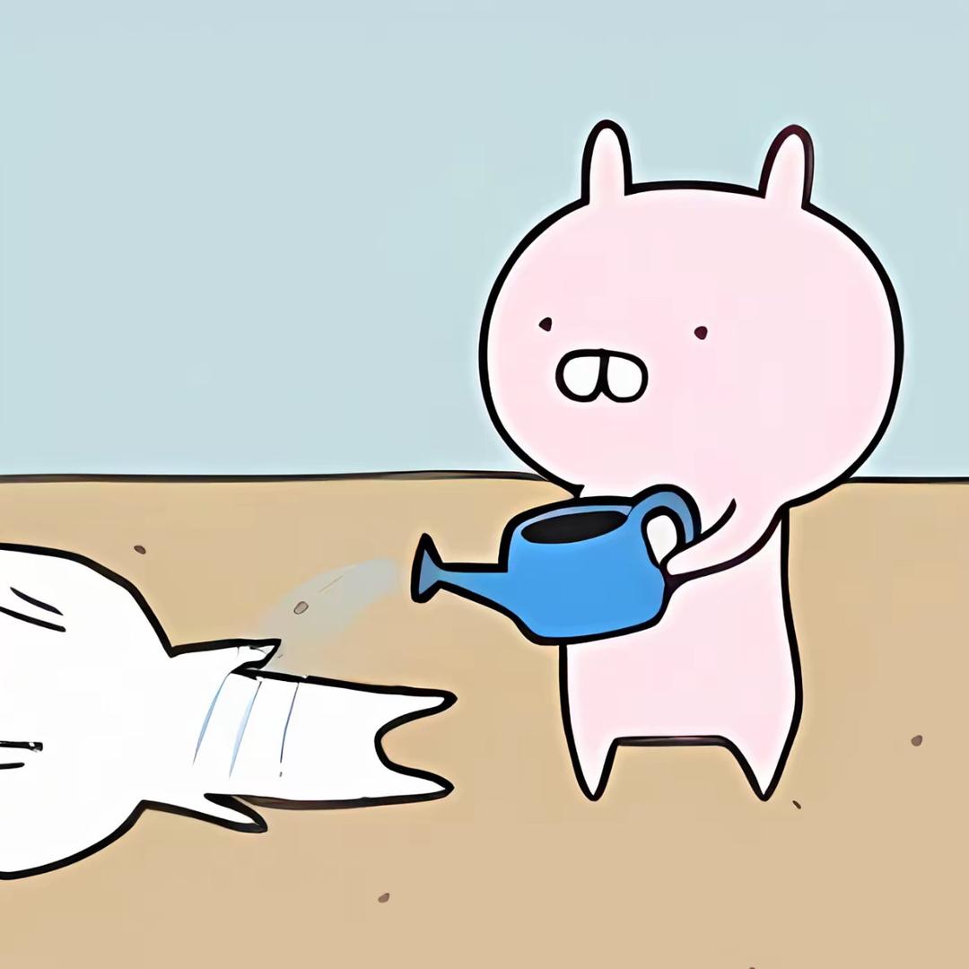 怀中江