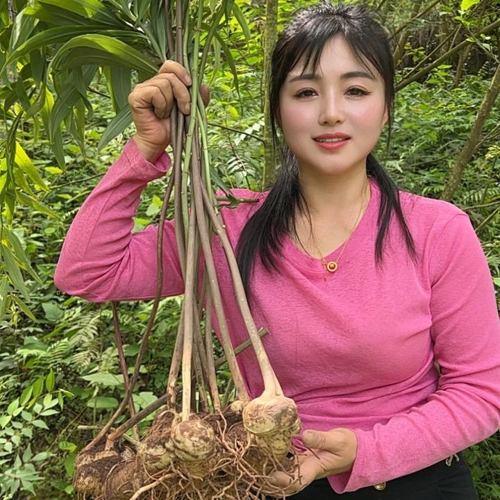川妹