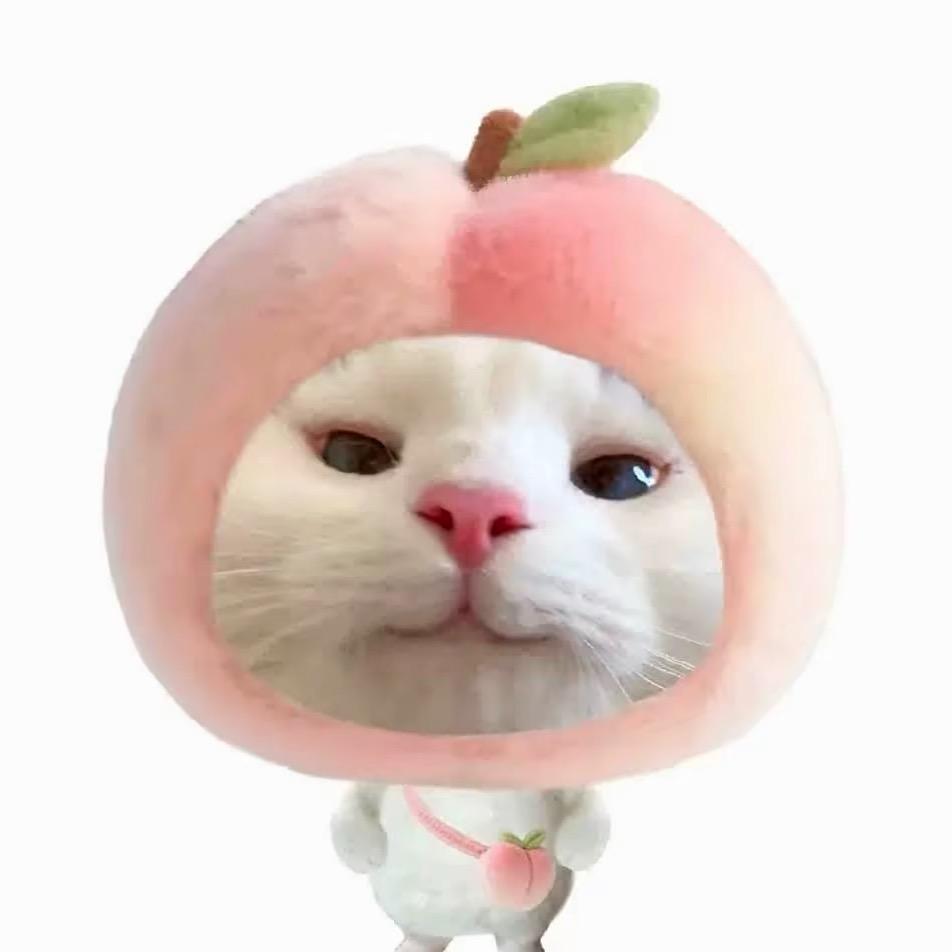 胆小鬼