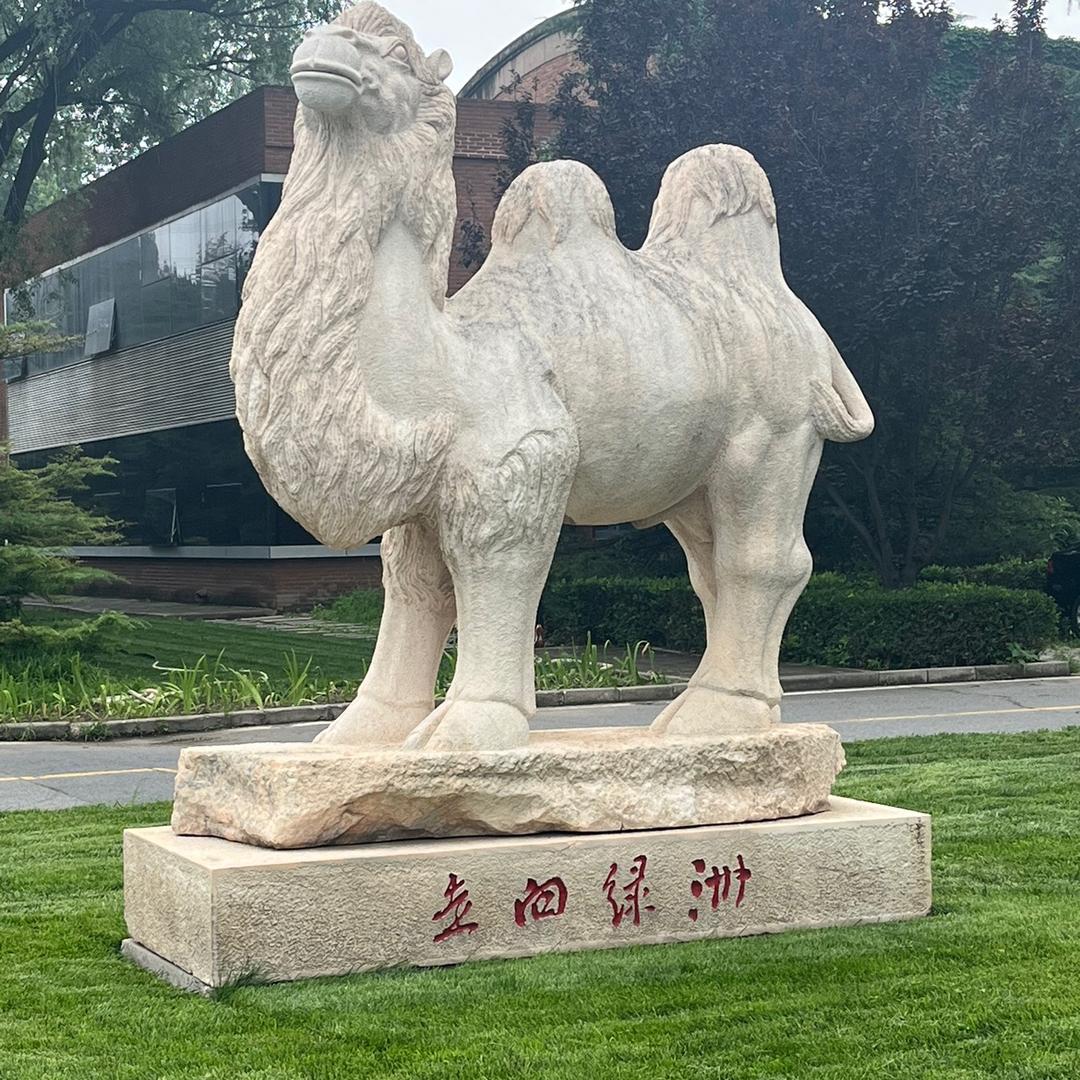懂你