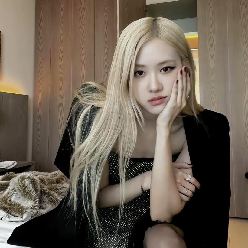 布丁（摆烂版）