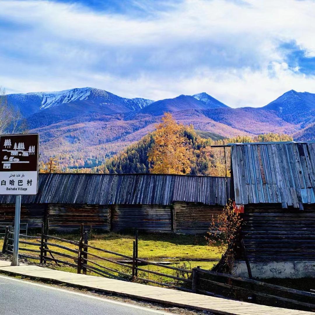 疆雪国际旅行社-2号