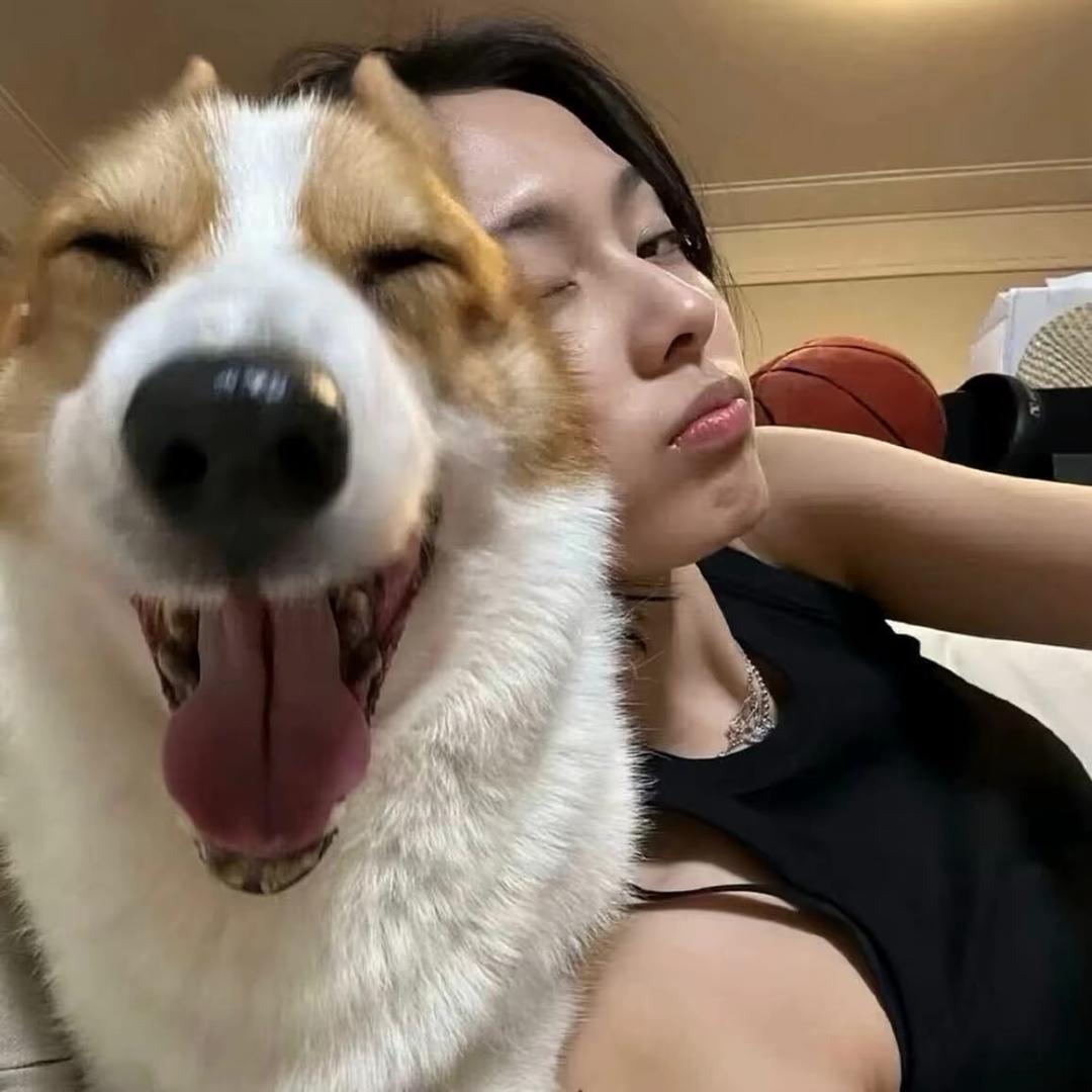 我叫 瞌 睡 虫