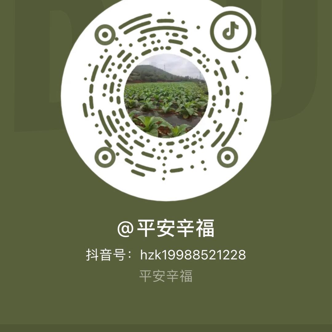 追求梦想