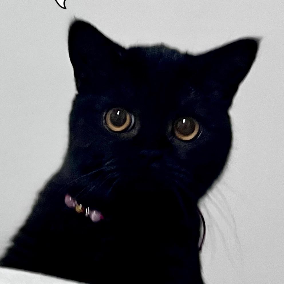 没有莉子我怎么活