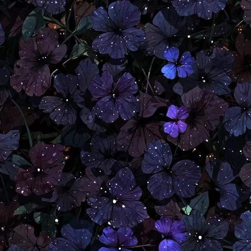 此账号已注销…