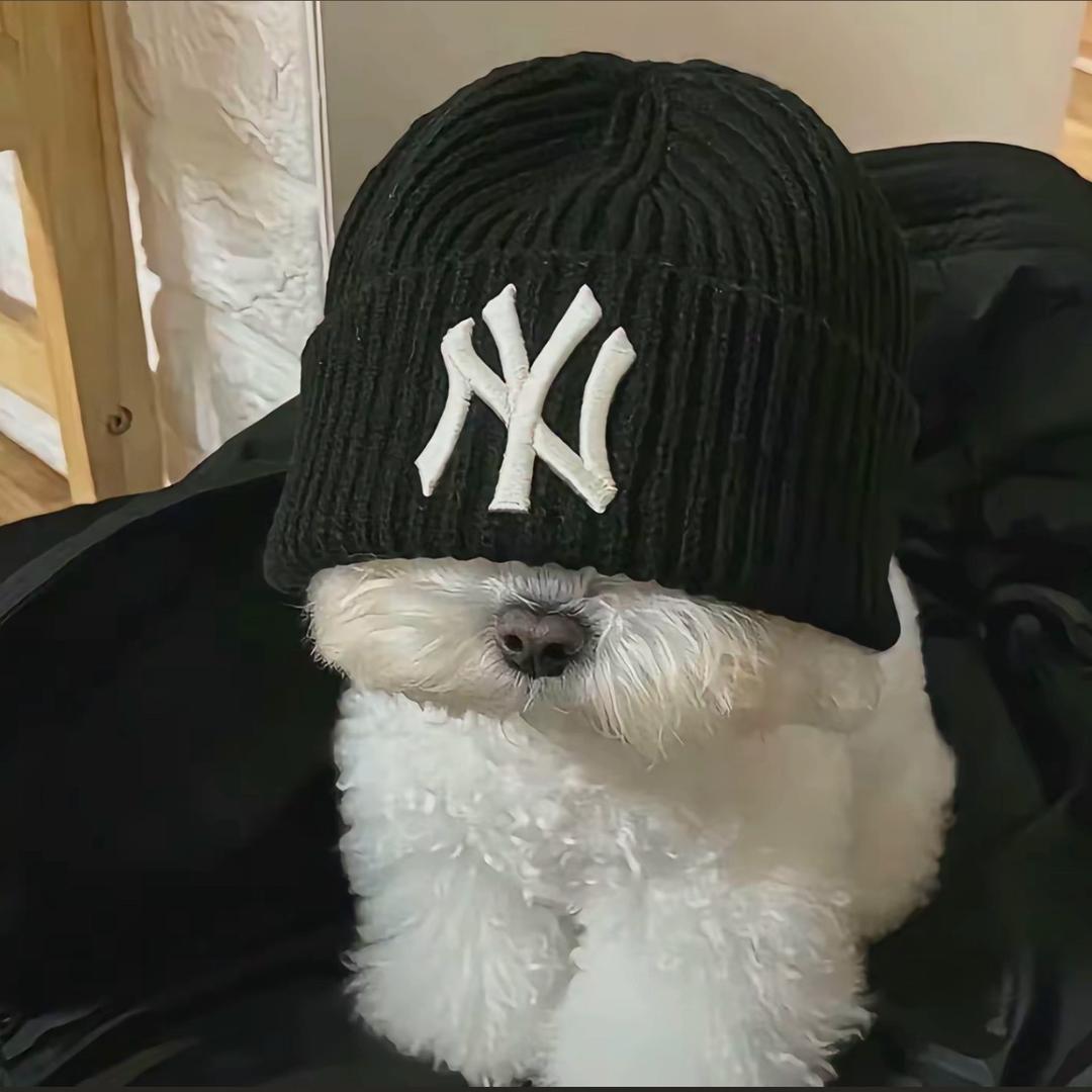 寒安.