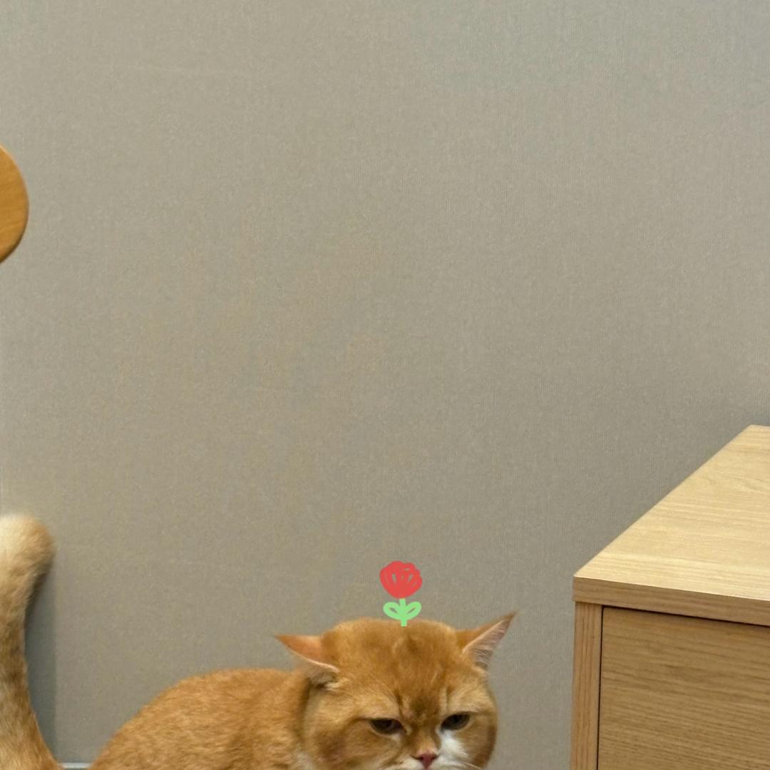 有趣的人