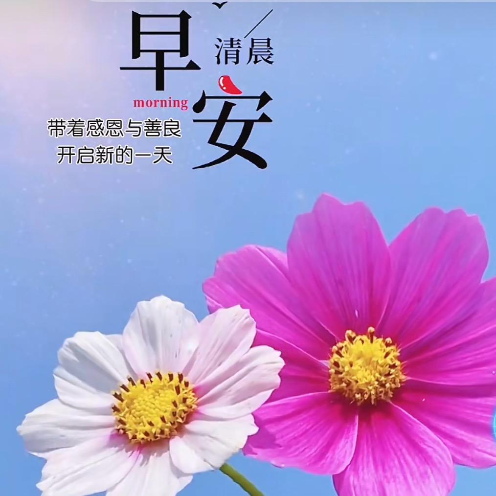 @@凉凉