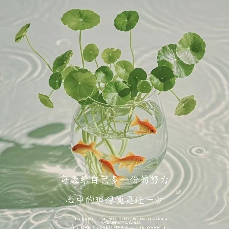 百合