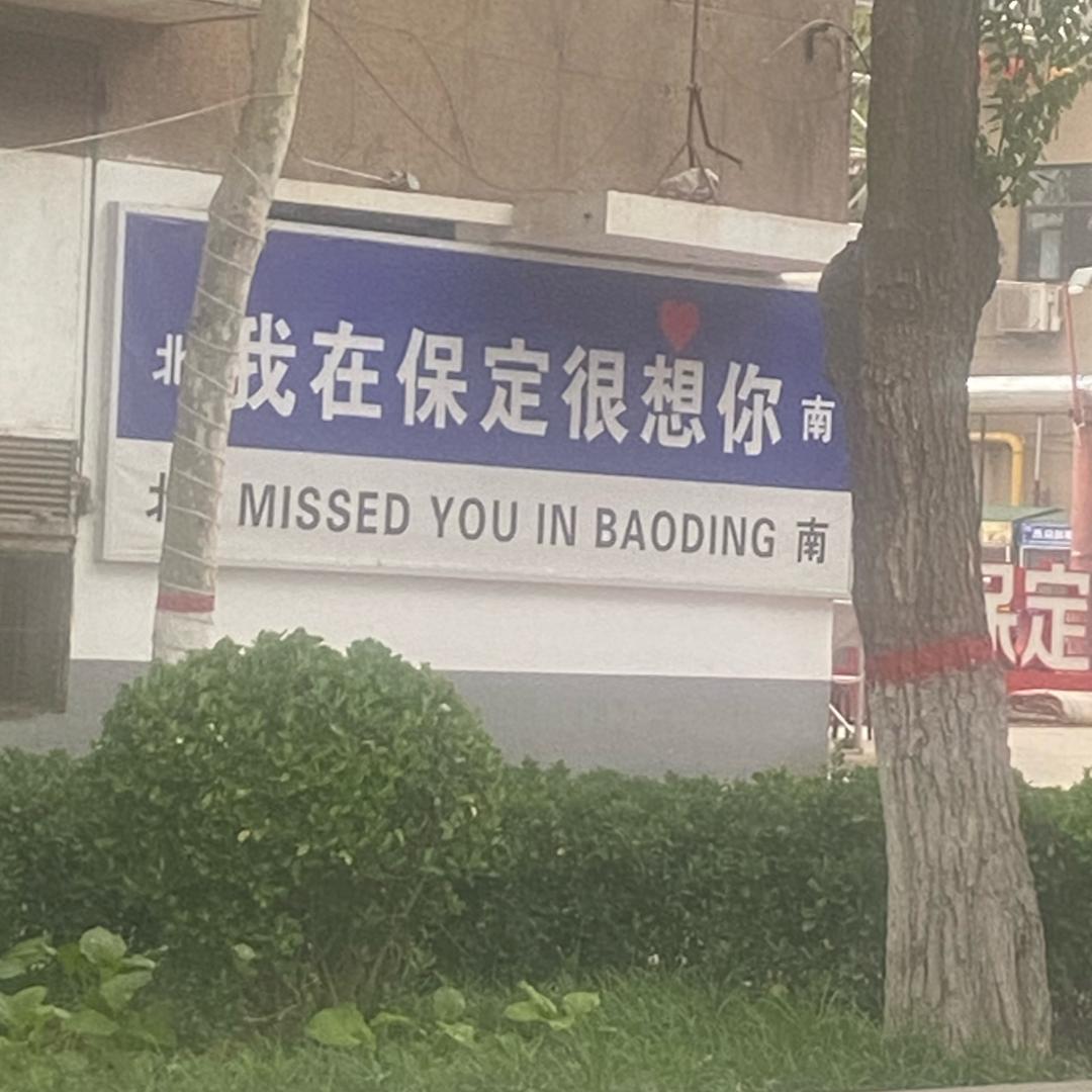 大鹏