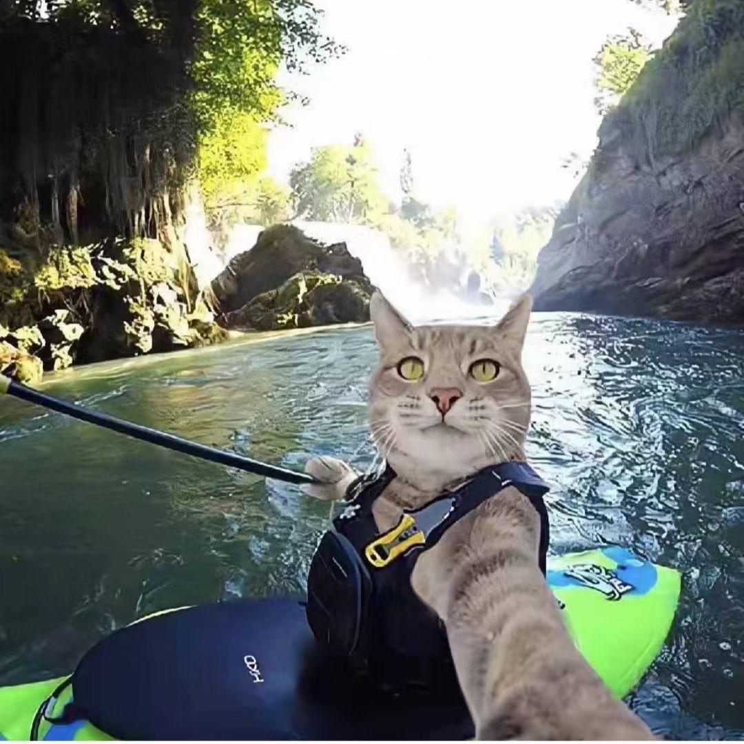 有空就钓鱼🎣