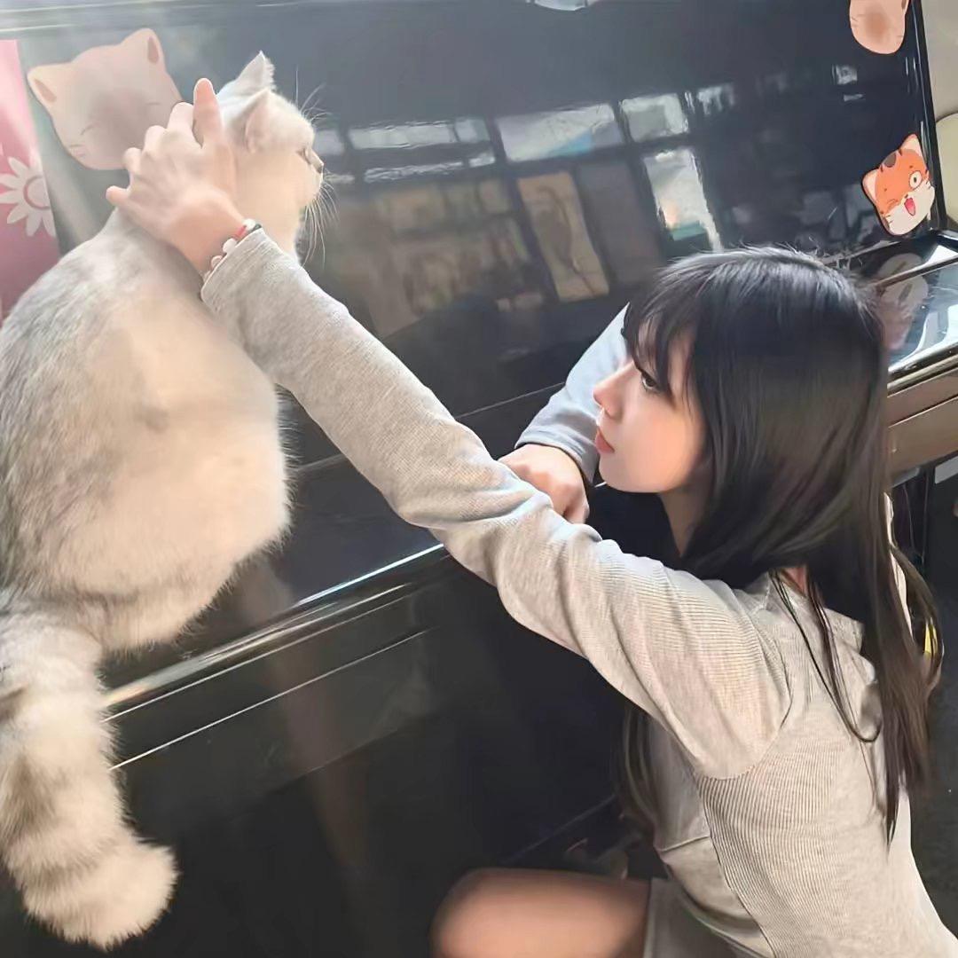 十一月.