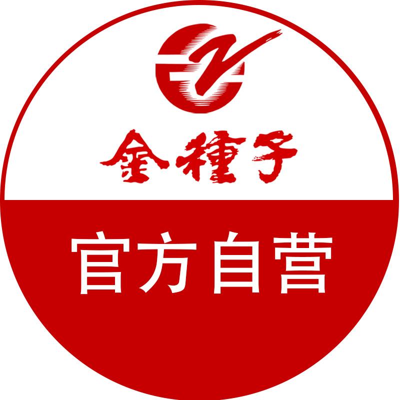 Jinzhongzi666