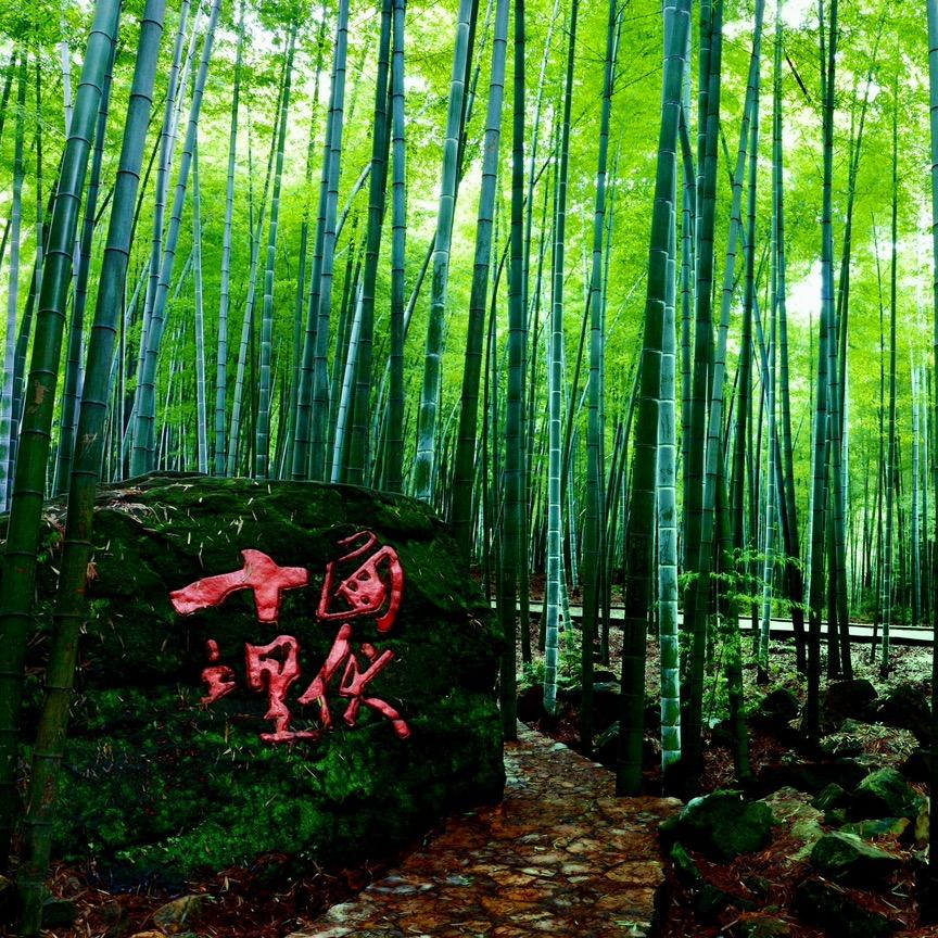 重庆茶山竹海