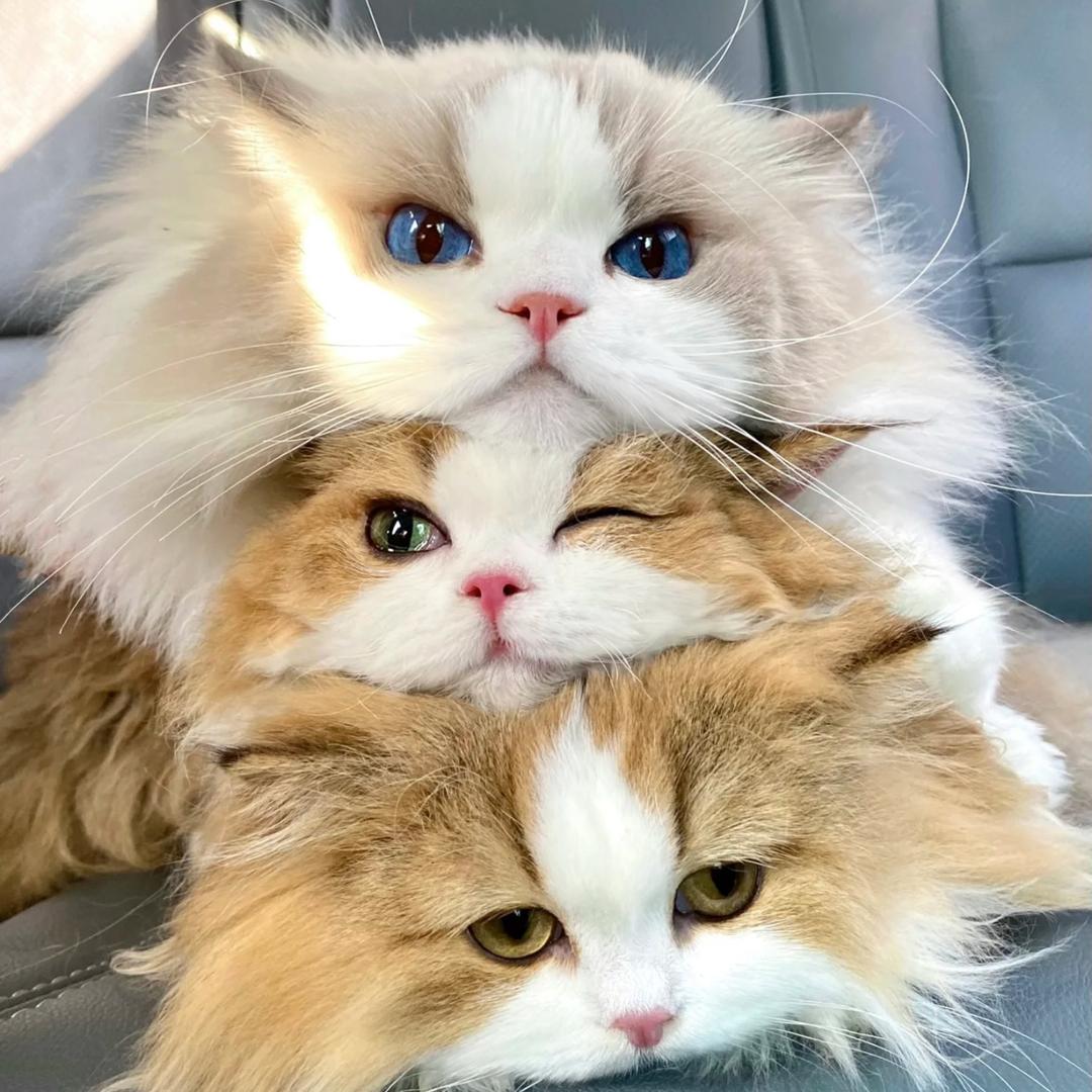 吃不完的兜着走