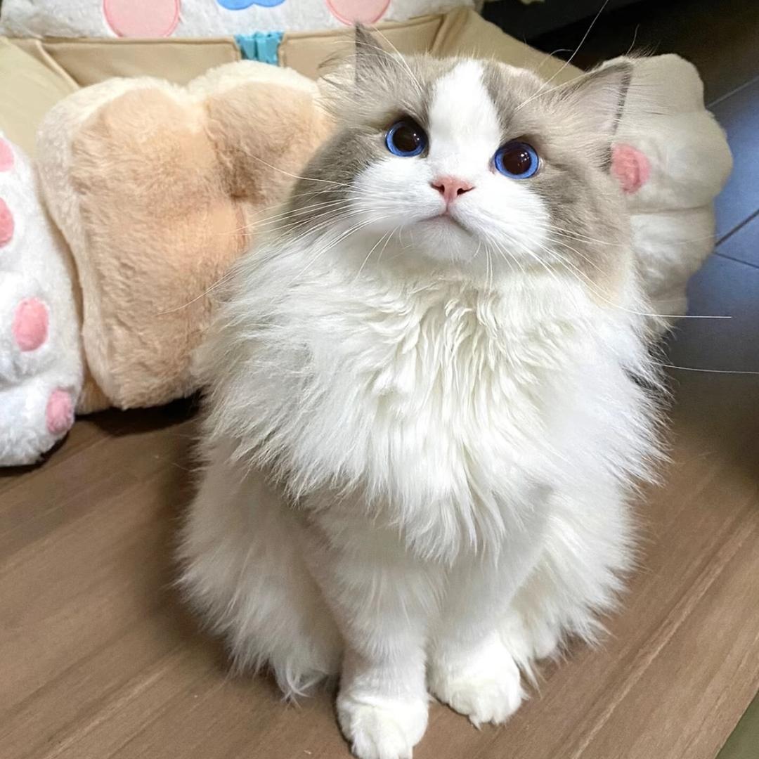 今天你开心了嘛