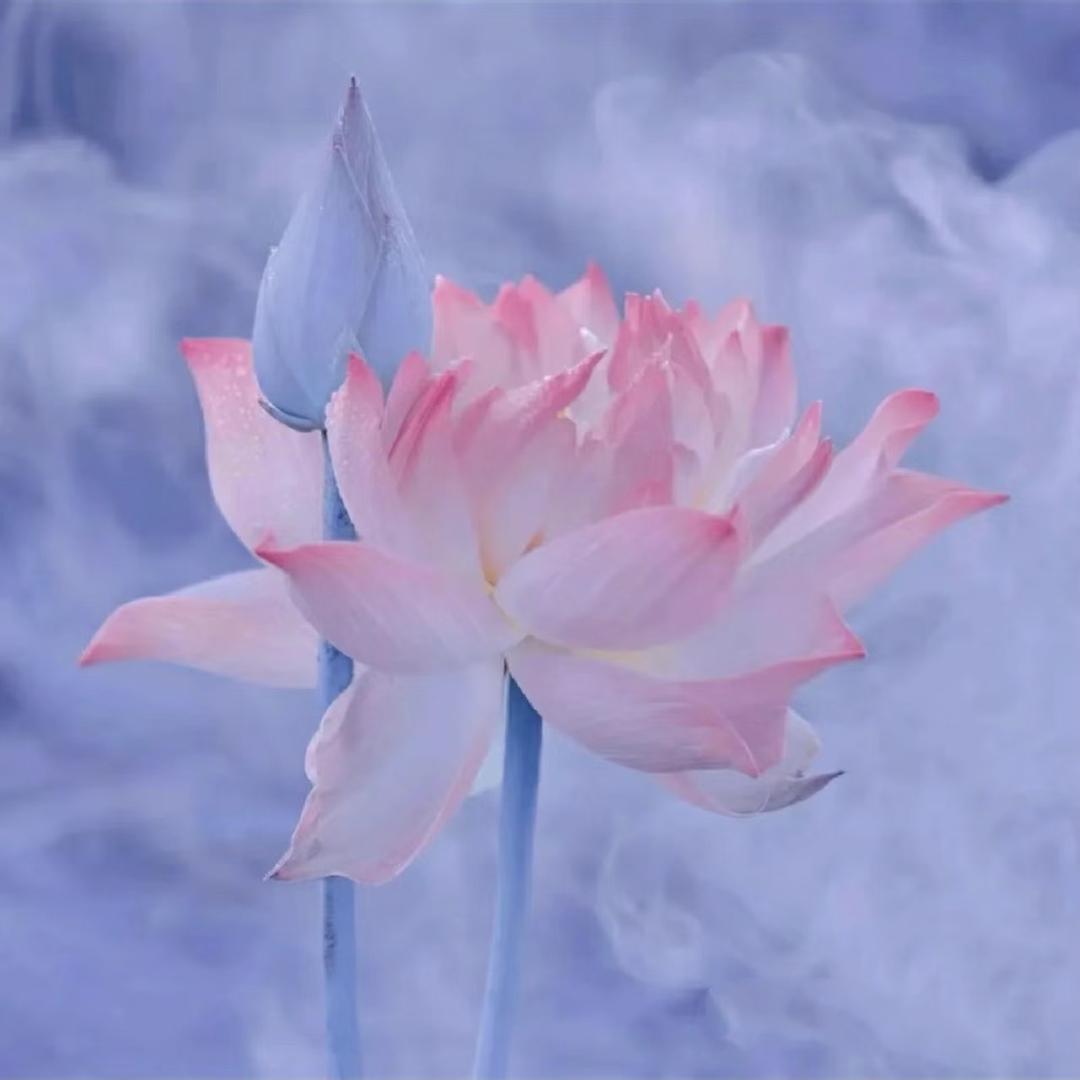 湫湫.