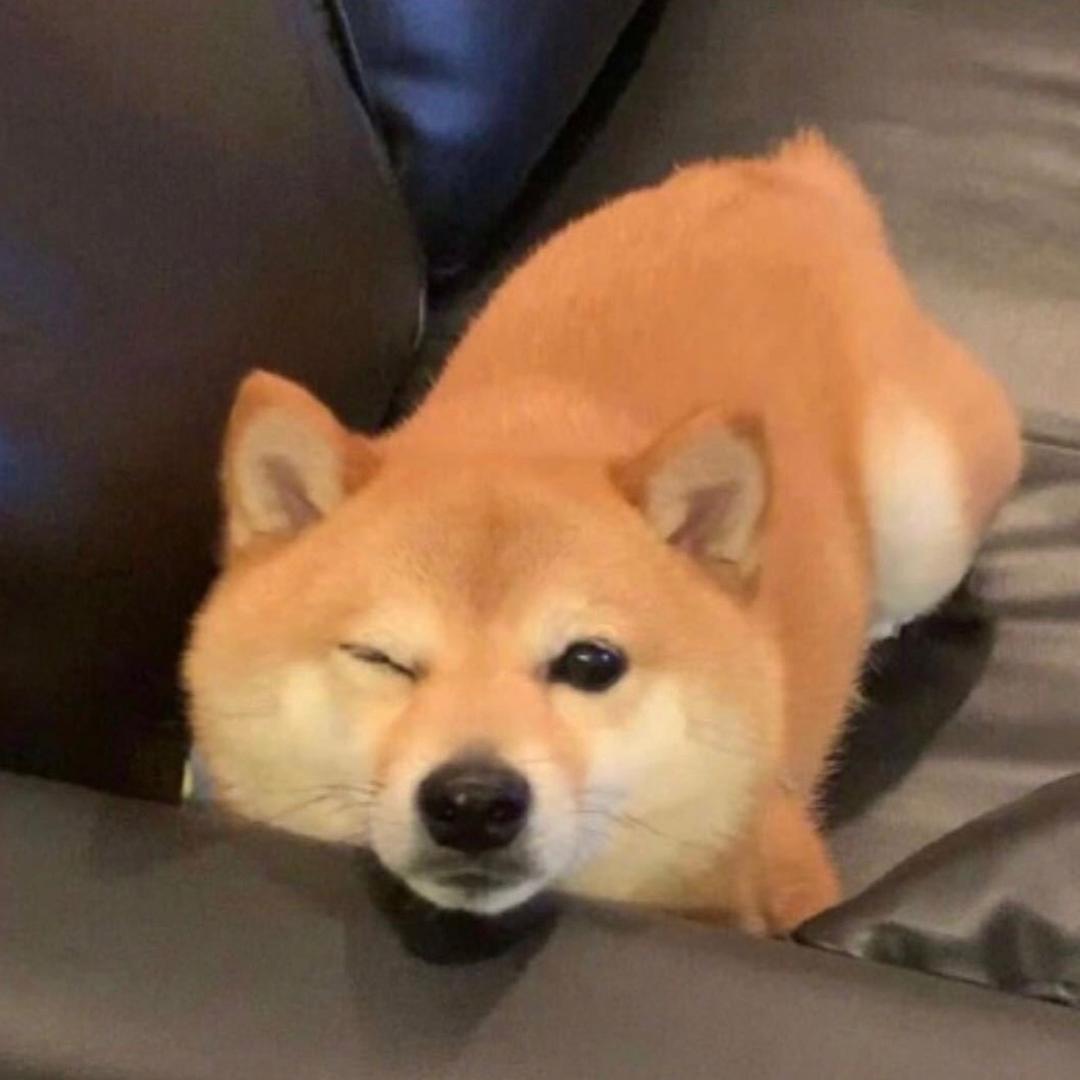 @Ash              🕷