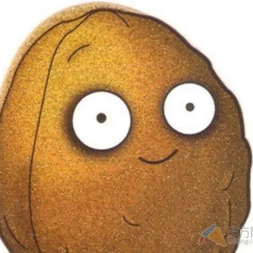 向阳而生（怀孕版）