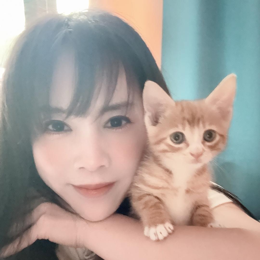 缇娜的拖米猫🐈
