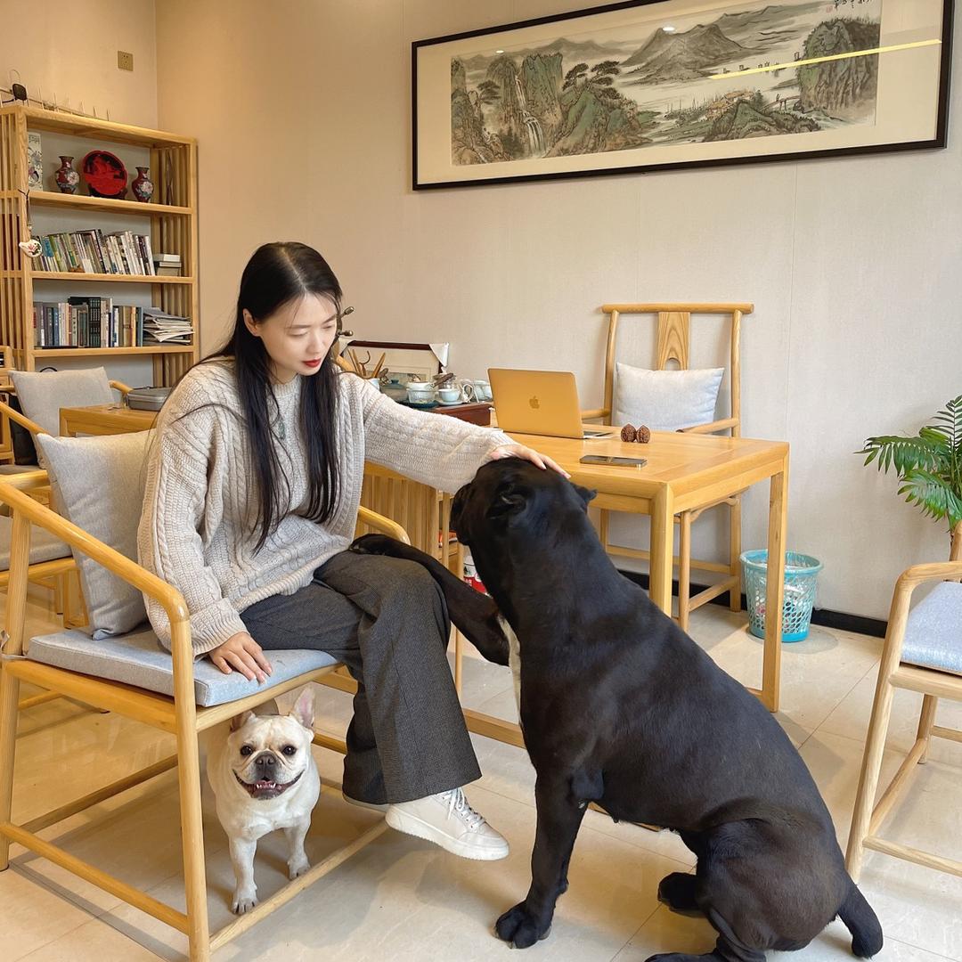 萌犬山大王