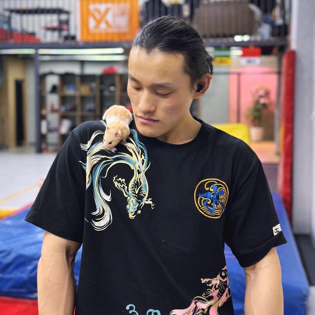 教空翻的李小兔