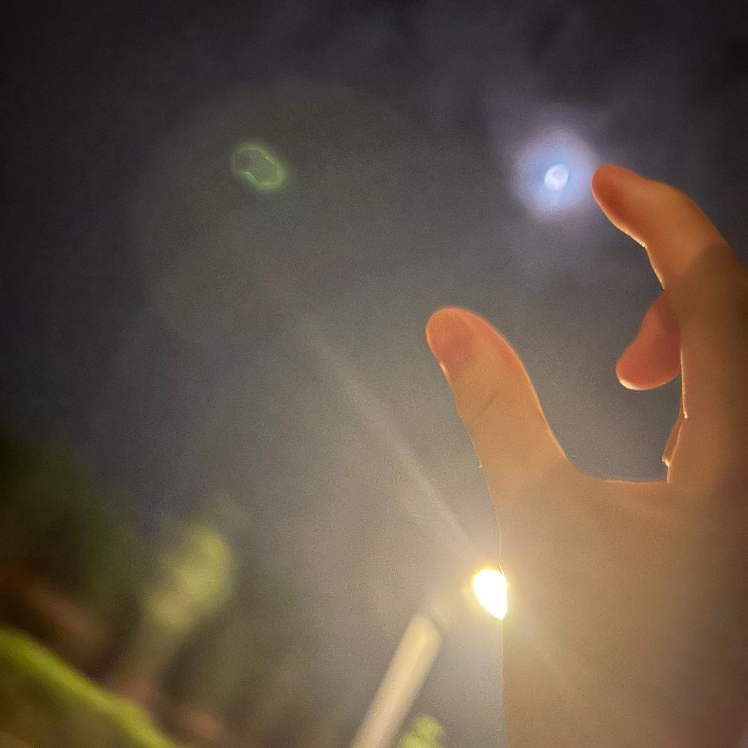 老七菜板