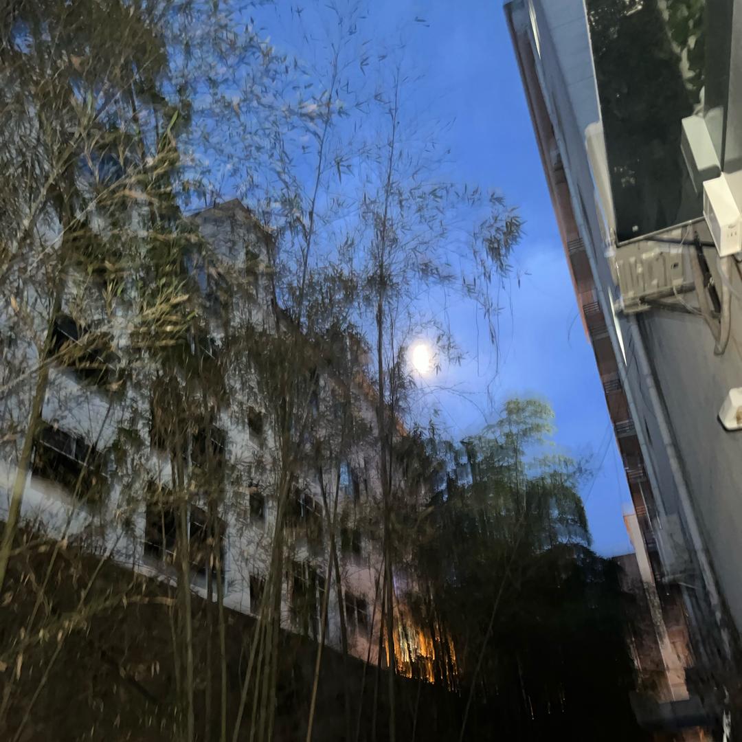 沉默