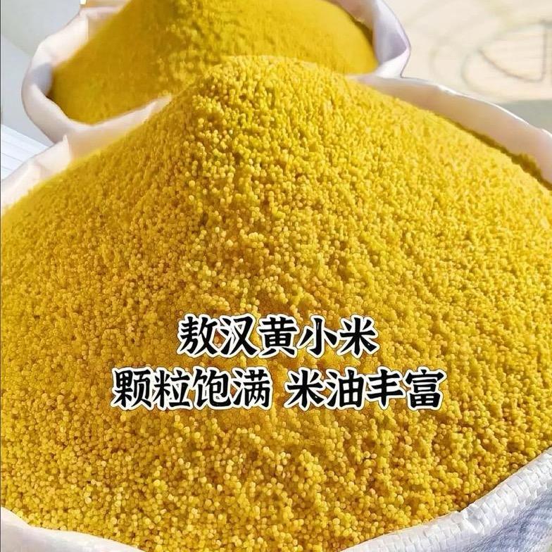 内蒙敖汉糯黄小米2