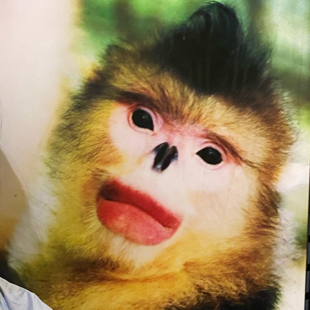 小不点儿的成神之路