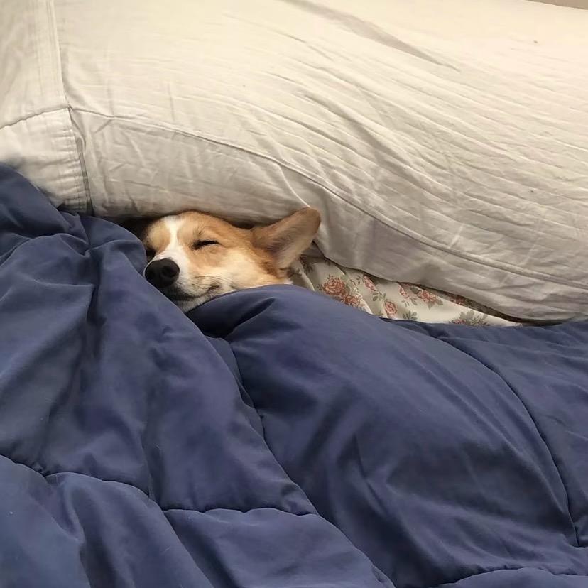 🤓慢慢来比较快