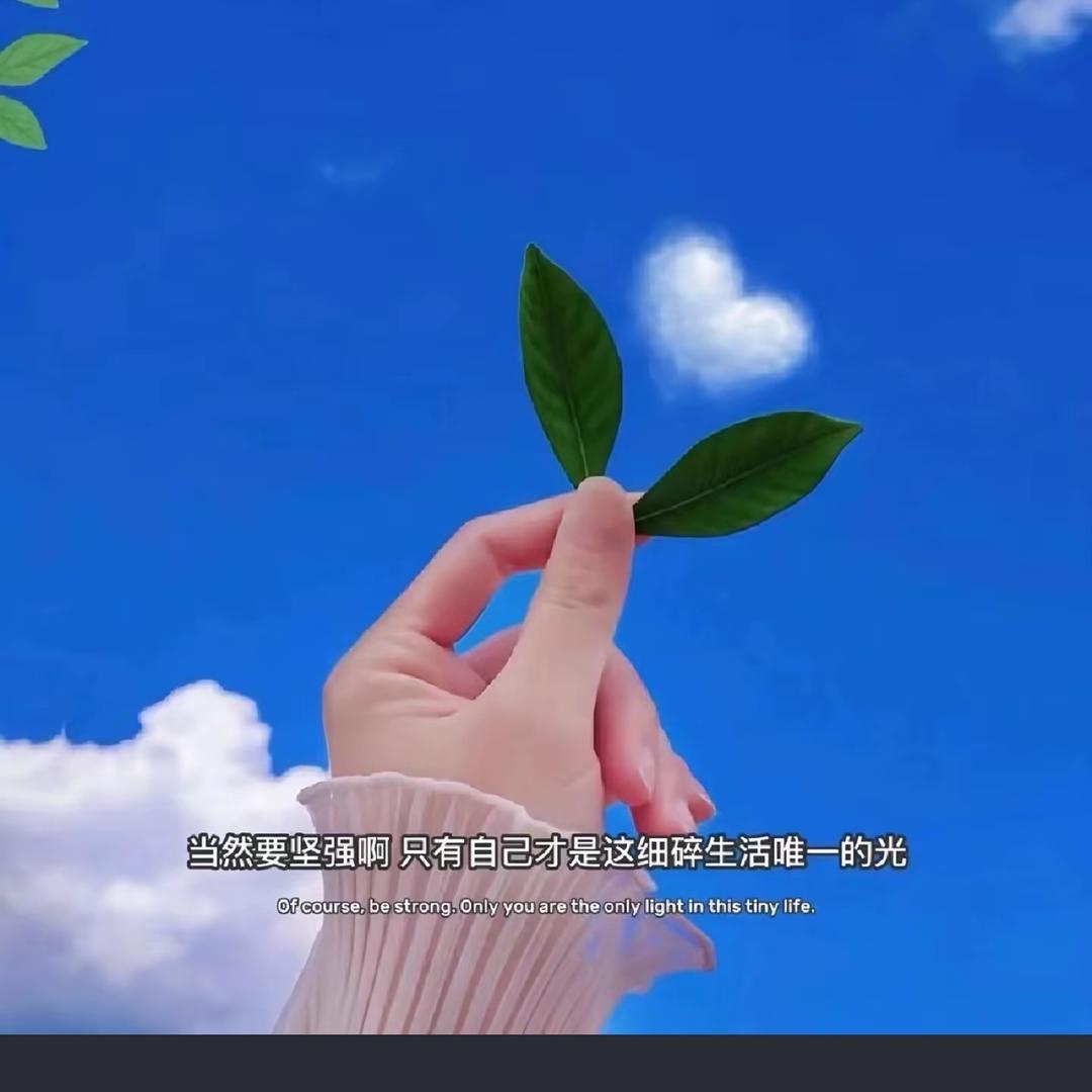 🌟 派大星🌟