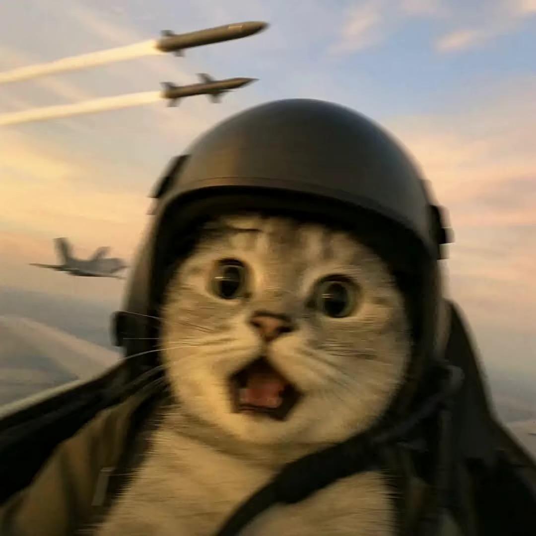 aaaa.拉