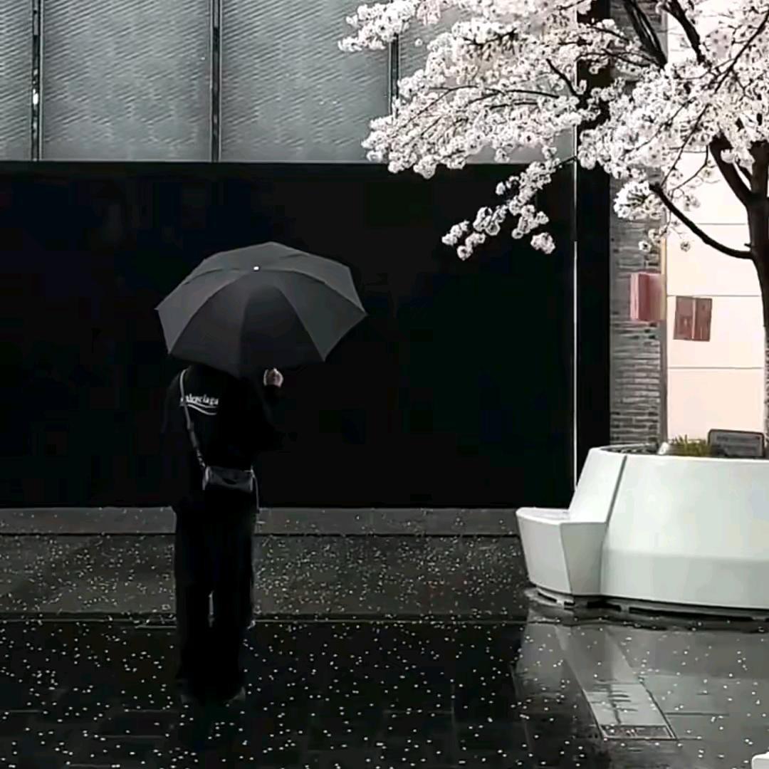 爱理财的周东瑞