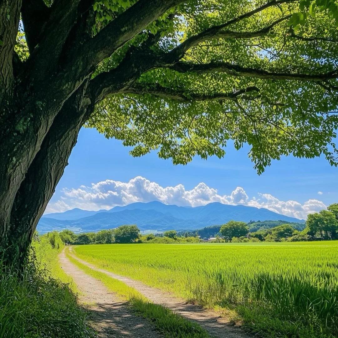 南波万