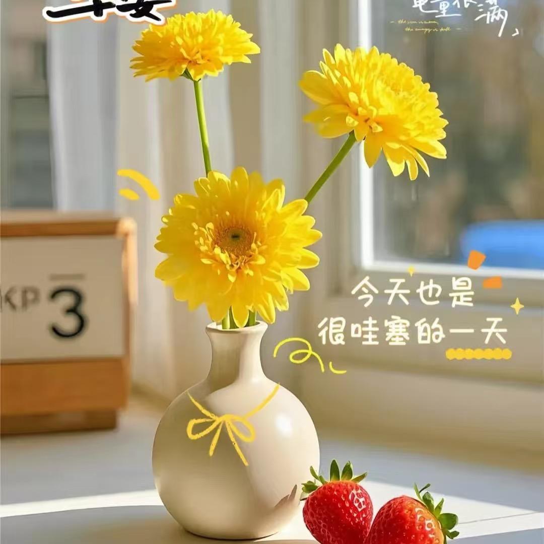 鹦鹉小萌宠
