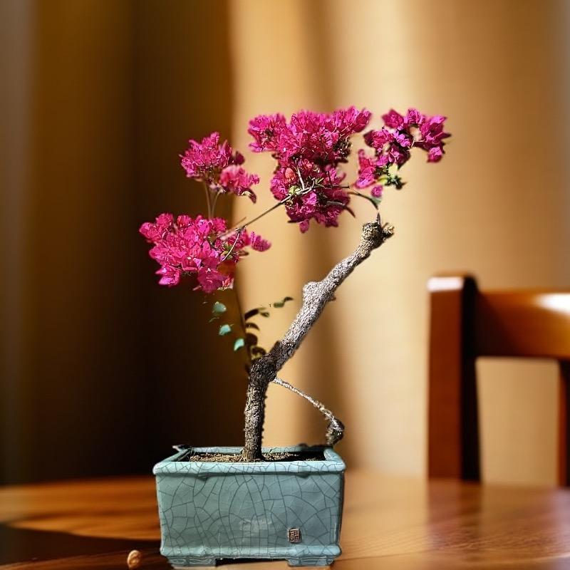 木子园艺农场