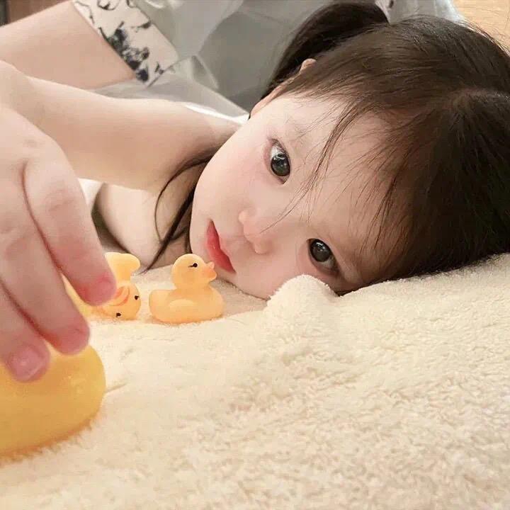 想要只猫