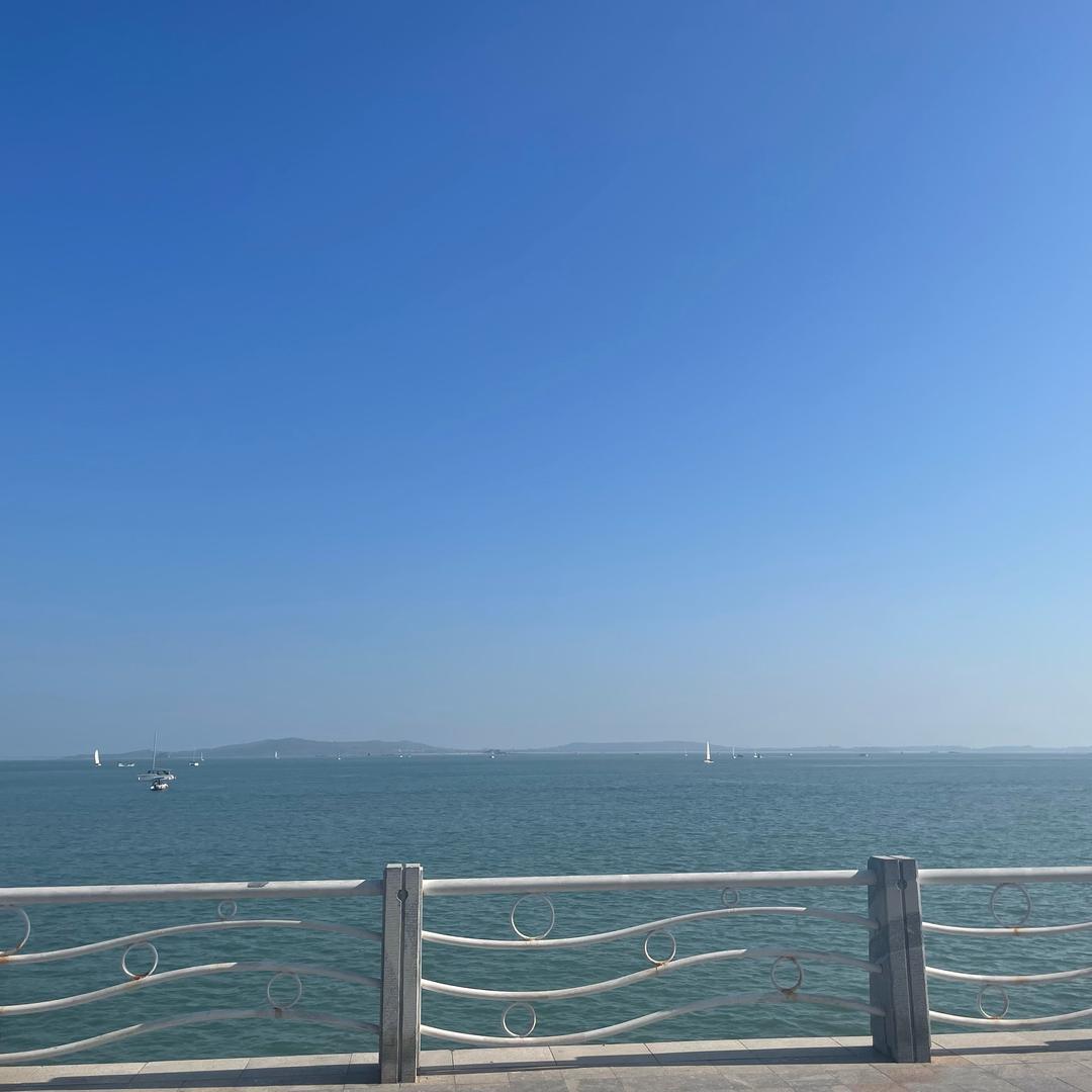 小鱼儿老师