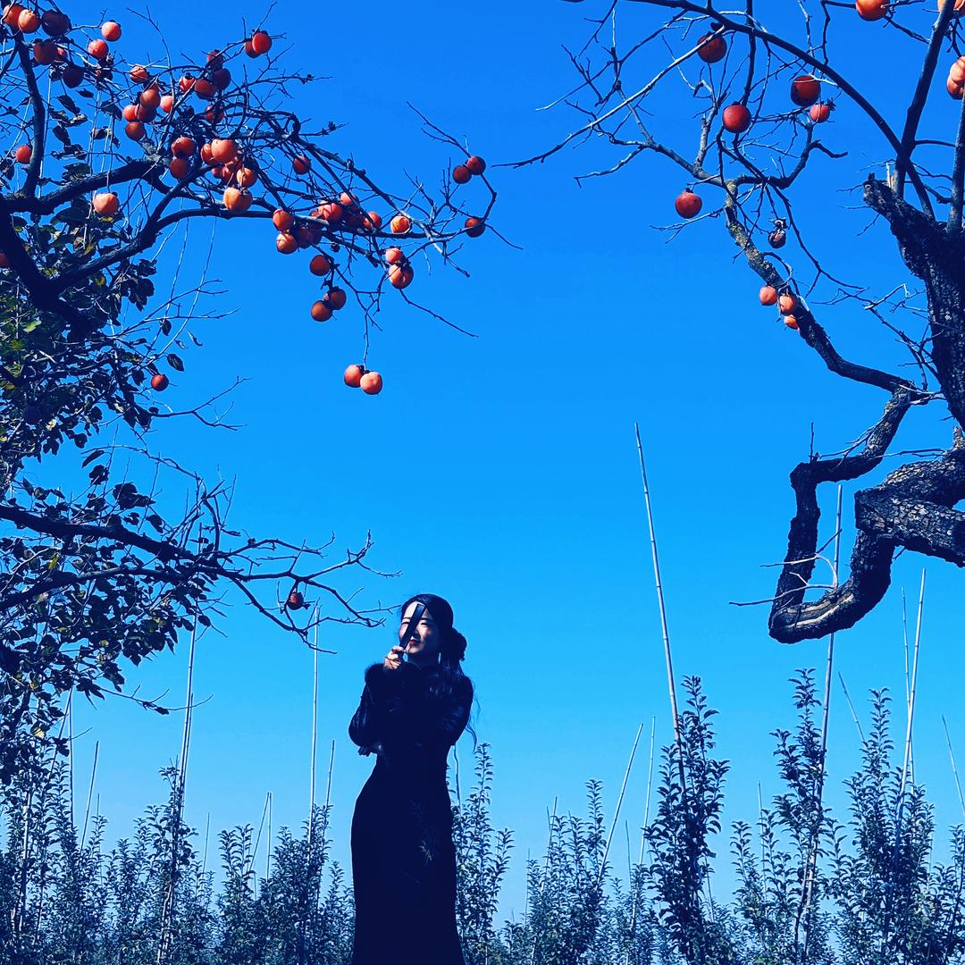 人̶间̶忽̶晚̶♡̶