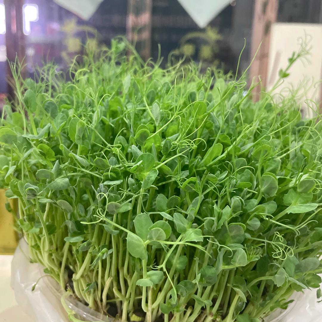 上蔡县翌芙莱皮肤健康管理中心