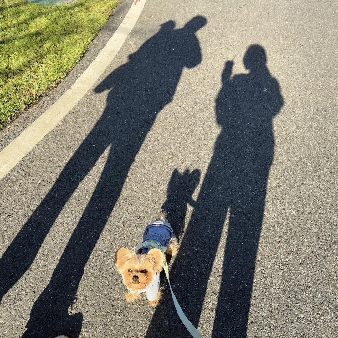 ℋᵅᵖᵖᵞ♡ᵕ̈周周