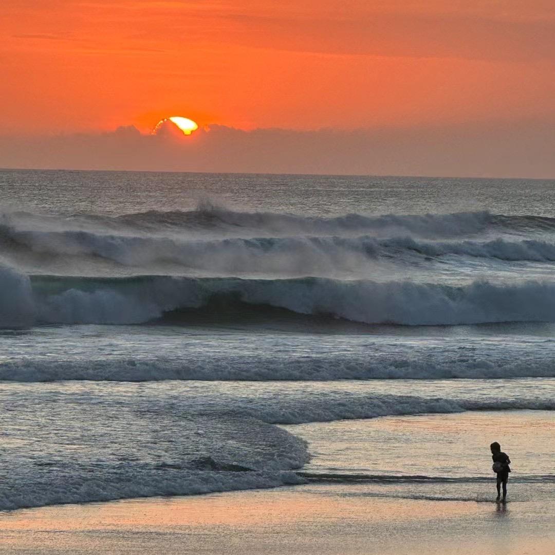 汕尾马宫本港鱿鱼干