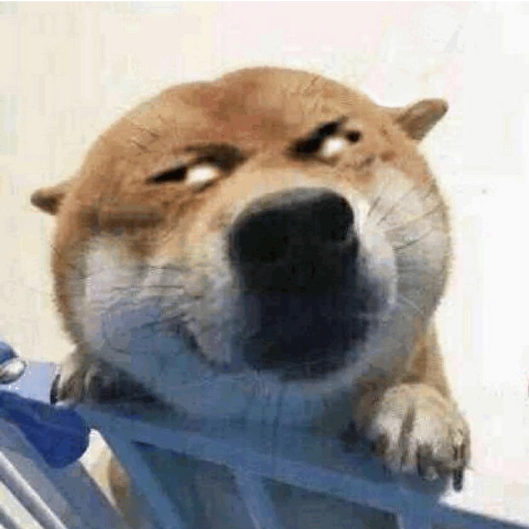 货小拉